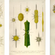 Image for article titled The Best Science Gifts for the Coolest Geeks You Know